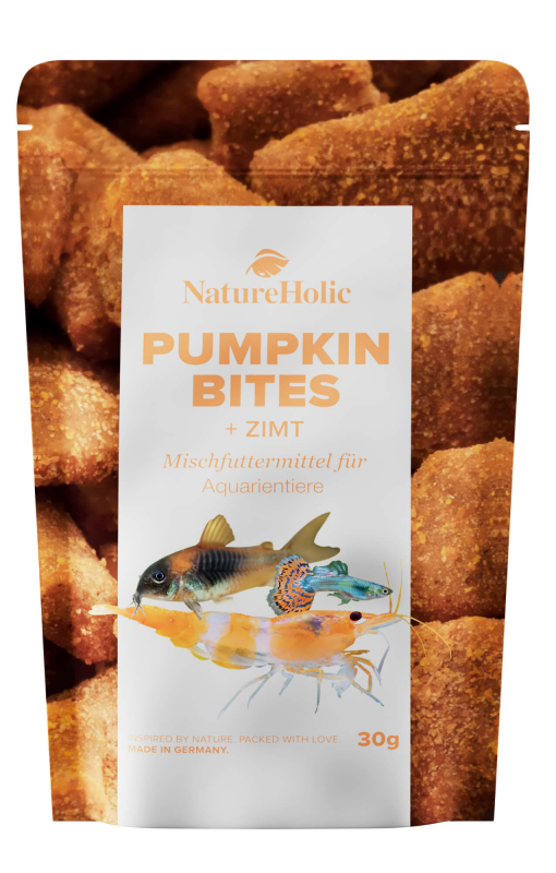 NatureHolic - Pumpkin Cinnamon Bites - 30 g